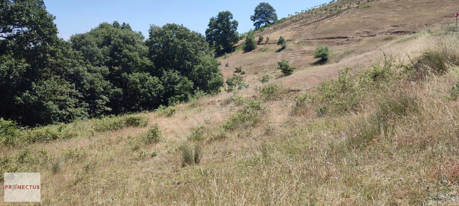 FULACIK MAH. ASFALT YOLA CEPHE 864 M2 SATILIK TARLA, - KOCAELİ KARAMÜRSEL fotoğraf 3