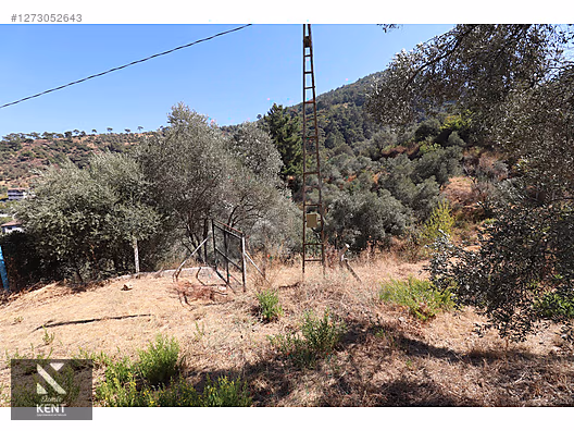 Kemalpaşa Aşağıkızılca Satılık 4536 m2 Bahçe - İZMİR KEMALPAŞA fotoğraf 33