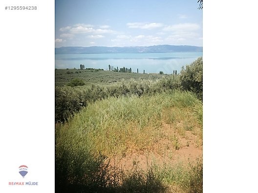 BURSA ORHANGAZİ NARLICA MAH. 1.247 M2 SATILIK ZEYTİNLİK - BURSA ORHANGAZİ fotoğraf 5