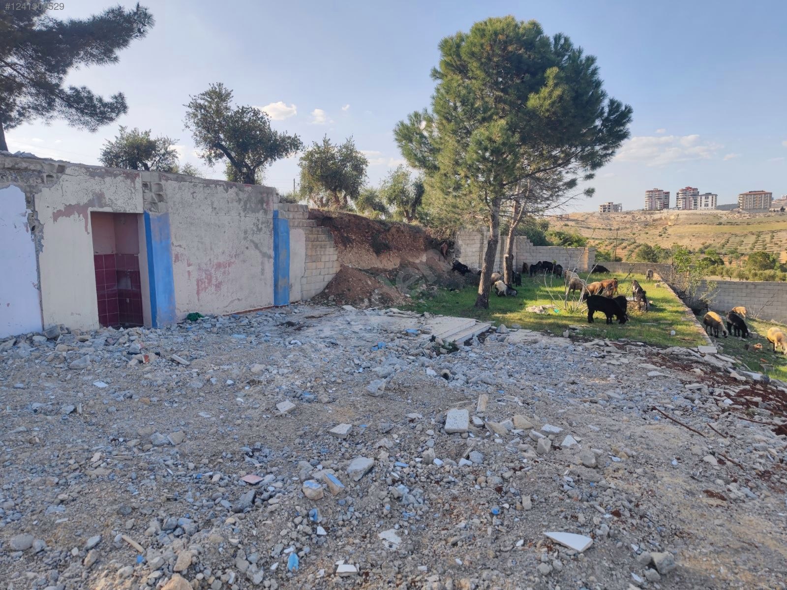 PUSULA EMLAKTAN ŞIH MUHAMMEDDE VİLLA İMARLI 3DÖNÜM ARSA - KİLİS MERKEZ fotoğraf 2
