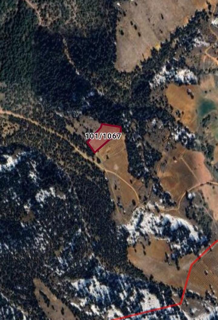A.KARAHİSAR BAŞMAKÇI ÇIĞRI MAH.4.425M² TARLA SATILIKTIR - AFYONKARAHİSAR BAŞMAKÇI fotoğraf 3