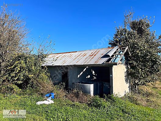 Resuller'de 84.500m² Fındıklık ve Çiftlik, Limana Yakın - SAKARYA KARASU fotoğraf 33