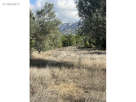 Antalya / Akseki / Erenyaka Mahallesinde  1.551 m² SATILIK ARSA  - ANTALYA AKSEKİ fotoğraf 2