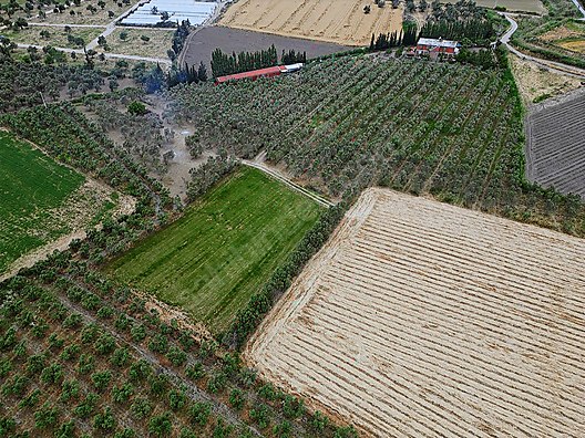 ARYA'DAN EDREMİT ÇIKRIKÇI'DA 5000 M2 TARLA - BALIKESİR EDREMİT fotoğraf 7