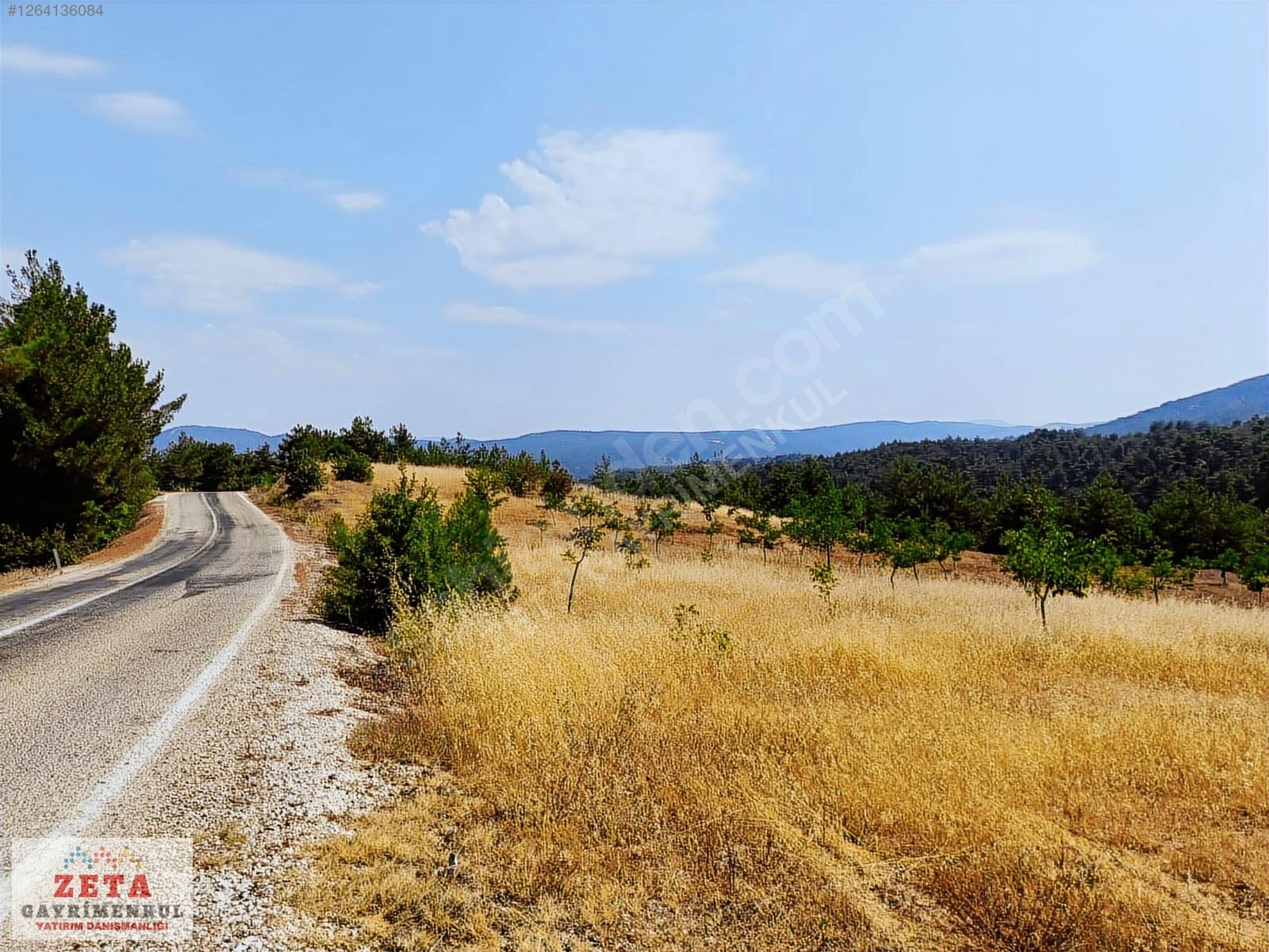 Sakarya Taraklı'da 11.240 m² Yatırımlık Tarla