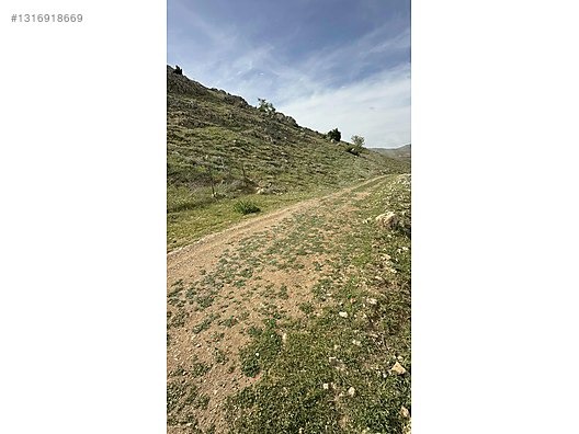 KORKUTELİ SÜLEKLER 2287 m2 ETRAFI TEL İLE ÇEVRİLMİŞ HAZIR BAHÇE - ANTALYA KORKUTELİ fotoğraf 11
