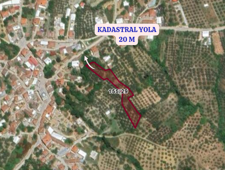BURSA MUDANYA AKKÖY KÖYÜNDE 2.985 M² ZEYTİNLİK SATILIKTIR. - BURSA MUDANYA fotoğraf 4