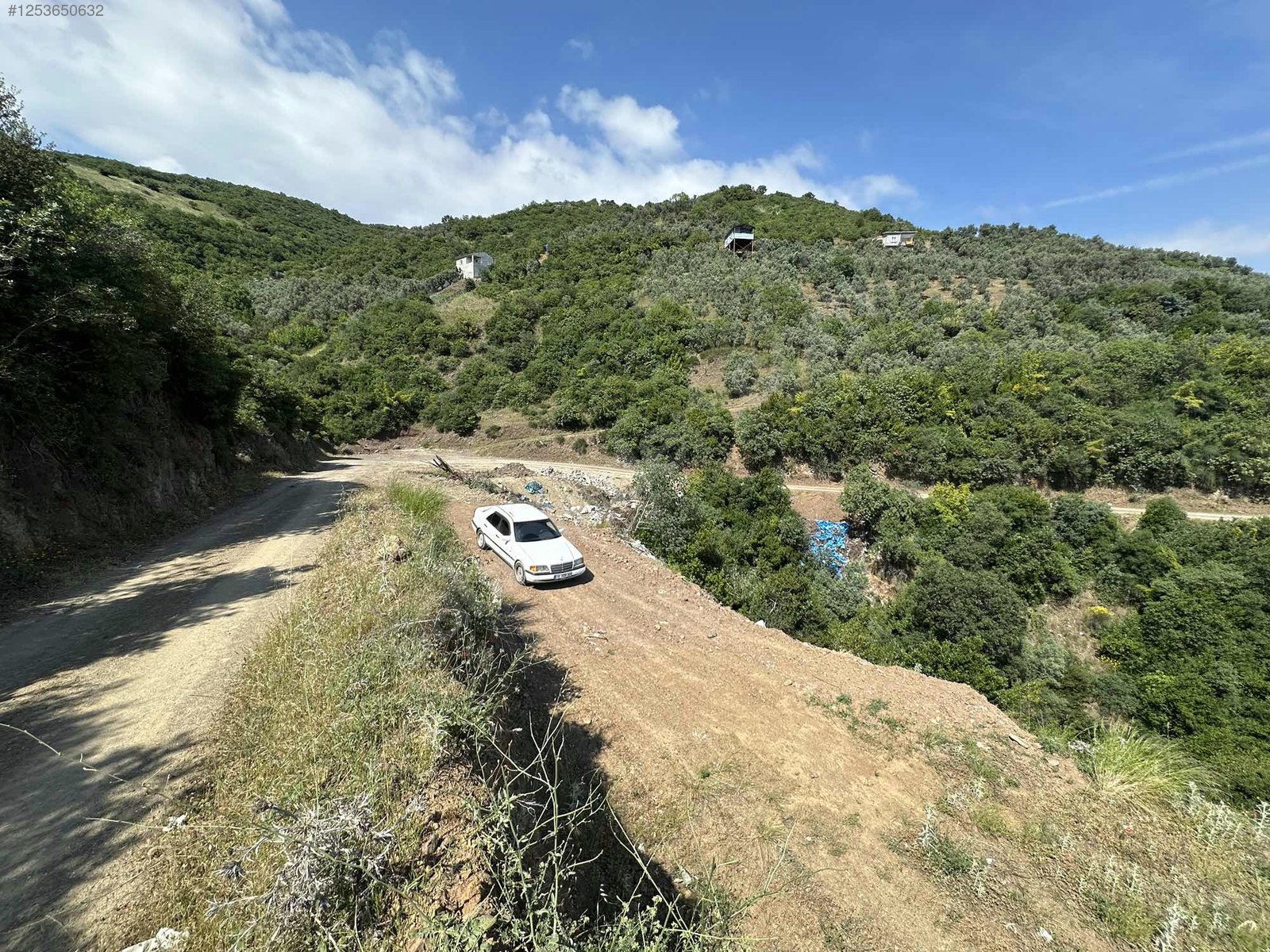 BURSA MUDANYA MİRZAOBA KÖYÜNDE 998 M²  ZEYTİNLİK SATILIKTIR - BURSA MUDANYA fotoğraf 14