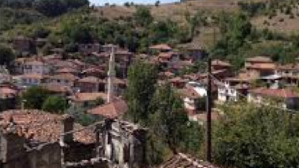 BURSA ORHANELİ DAĞGÜNEY KÖYÜ’NDE 1.365 M² BAHÇE SATILIKTIR. - BURSA ORHANELİ fotoğraf 6