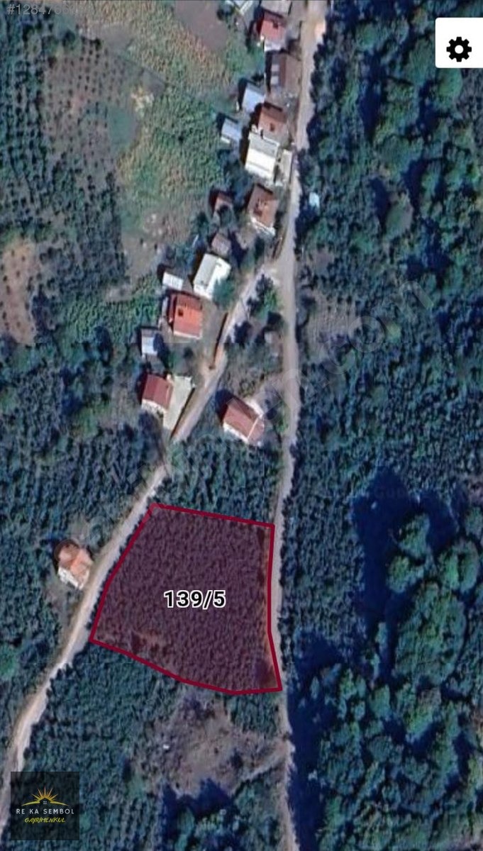 SAKARYA/HENDEK/DİKMEN MAHALLESİNDE SATILIK FINDIK BAHÇESİ - SAKARYA HENDEK fotoğraf 5