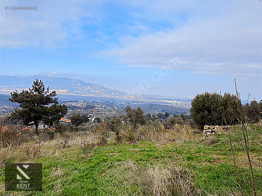 Kemalpaşa Yukarıkızılca Satılık İmar sınırında 6250m2 Zeytinlik - İZMİR KEMALPAŞA fotoğraf 4