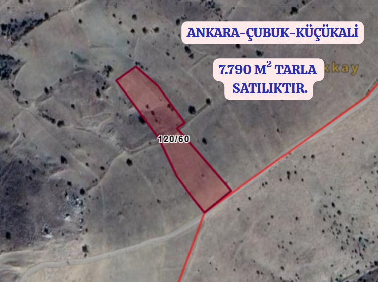 ANKARA ÇUBUK KÜÇÜKALİ KÖYÜNDE 7.790 M² TARLAMIZ SATILIKTIR - ANKARA ÇUBUK fotoğraf 2