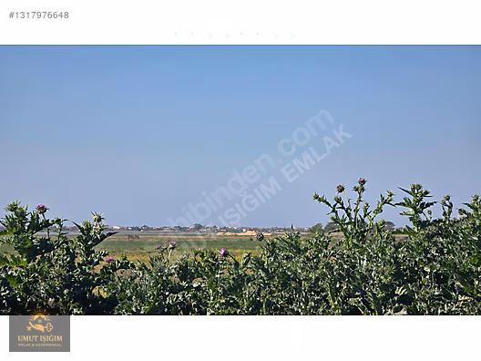 Erikli Köyü'nde Göl ve Deniz Manzaralı, 7400m² Tek Tapu Arsa - EDİRNE KEŞAN fotoğraf 8