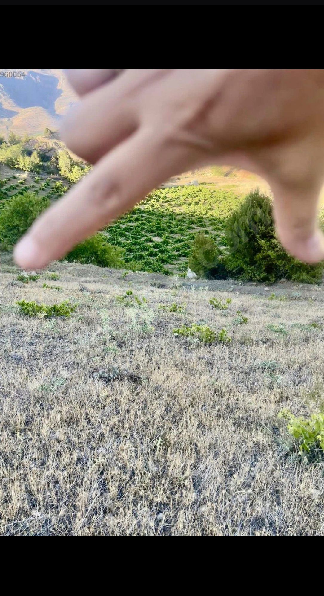 KONYA HADİM YELMEZ  KÖYÜNDE  2.817 M²  TARLA  SATILIKTIR - KONYA HADİM fotoğraf 3
