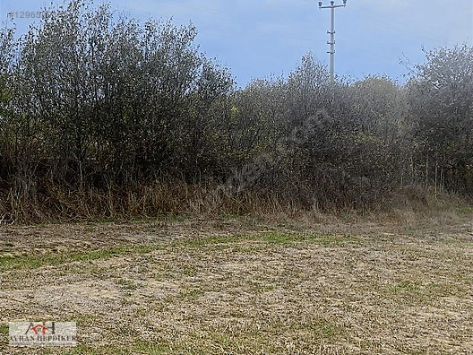 KOCAELİ ARAMAN DA ADAPAZARI KANDIRA YOLUNA CEPHELİ 3506 M2 TARLA - KOCAELİ KANDIRA fotoğraf 24