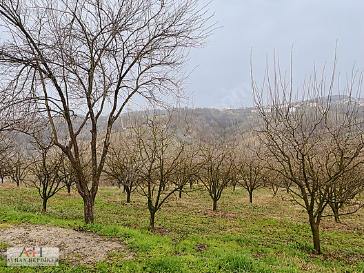 Serdivan Esentepe'de Satılık Arsalar - Yatırım Fırsatı! - SAKARYA SERDİVAN fotoğraf 54