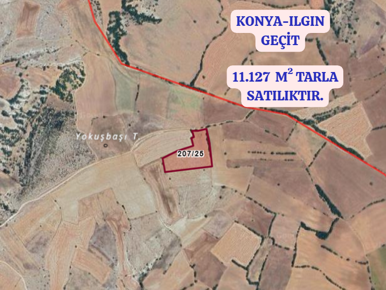 KONYA ILGIN GEÇİT  KÖYÜNDE 11.127 M² TARLA  SATILIKTIR - KONYA ILGIN fotoğraf 2