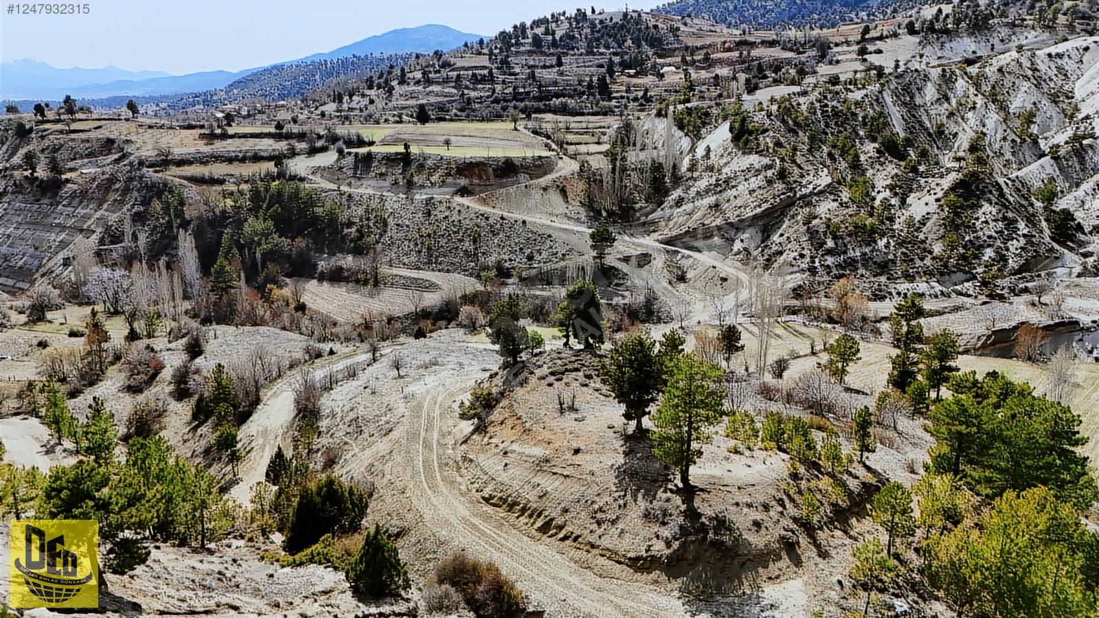 ÇİĞDEMLİ'DE YOLU OLAN ORMANA CEPHE YATIRIMLIK 1.105 m² ARAZİ - DENİZLİ ÇAMELİ fotoğraf 3