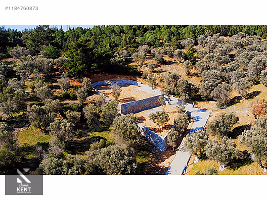 Kemalpaşa Sütçüler Satılık 873 m2 Zeytinlik - İZMİR KEMALPAŞA fotoğraf 11