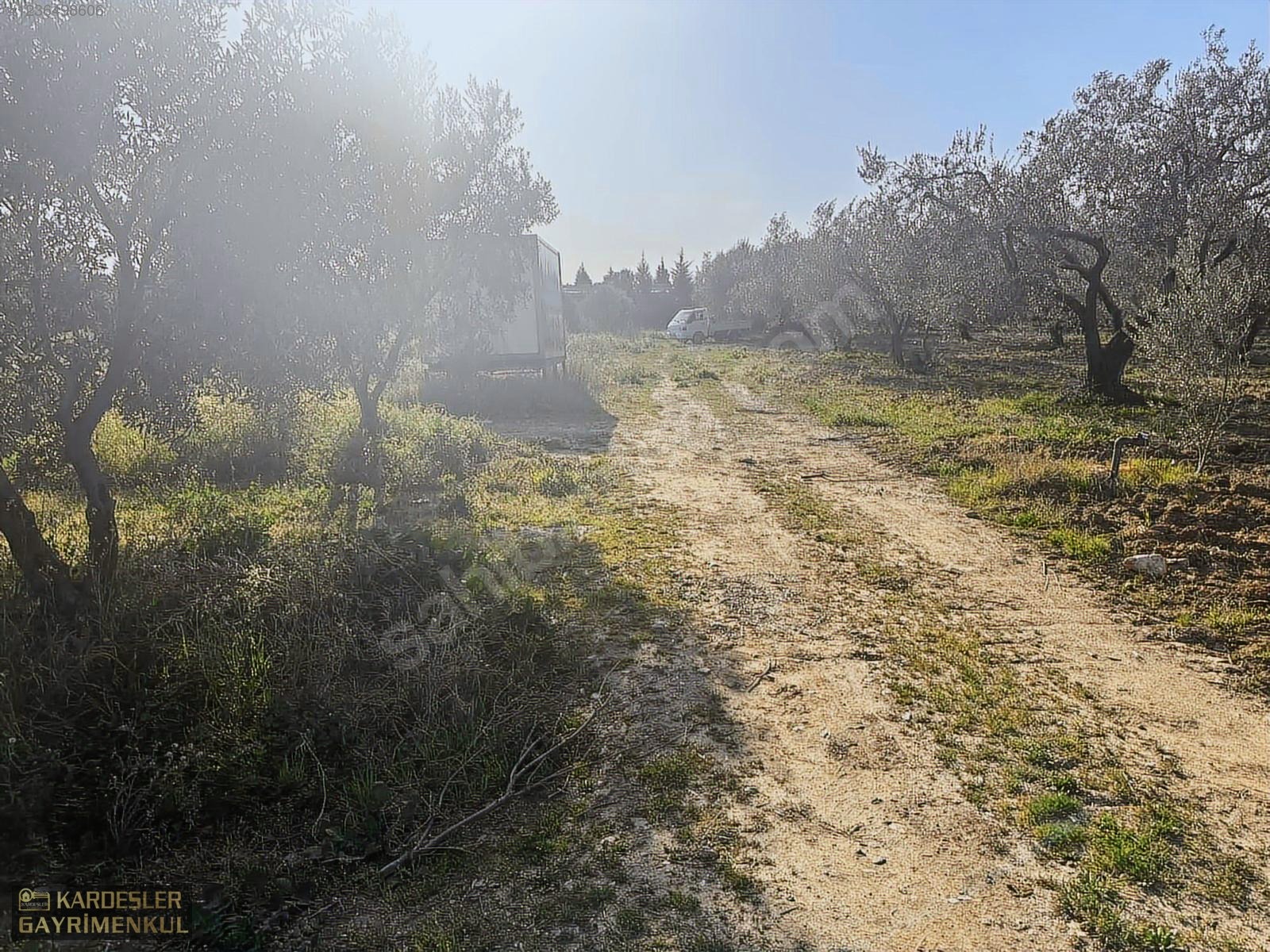 SATILIK GÖLMARMARA SALİHLİ YOLU ÜZERİNDE ASFALT ÜSTÜ ZEYTİNLİK - MANİSA AKHİSAR fotoğraf 17
