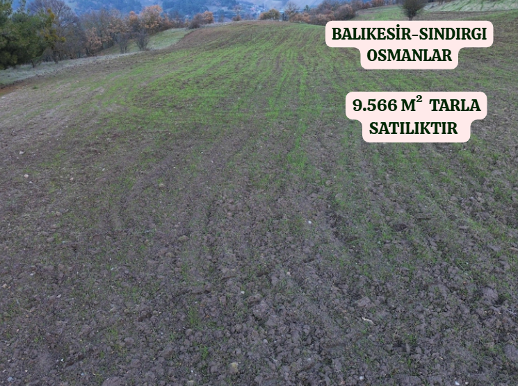 BALIKESİR SINDIRGI OSMANLAR  KÖYÜNDE  9.566   M²  TARLA  SATILIKTIR - BALIKESİR SINDIRGI fotoğraf 3
