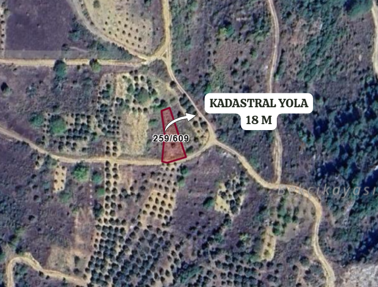 BURSA KELEŞ GELEMİÇ KÖYÜ’NDE 418 M²  BAĞ SATILIKTIR - BURSA KELES fotoğraf 3