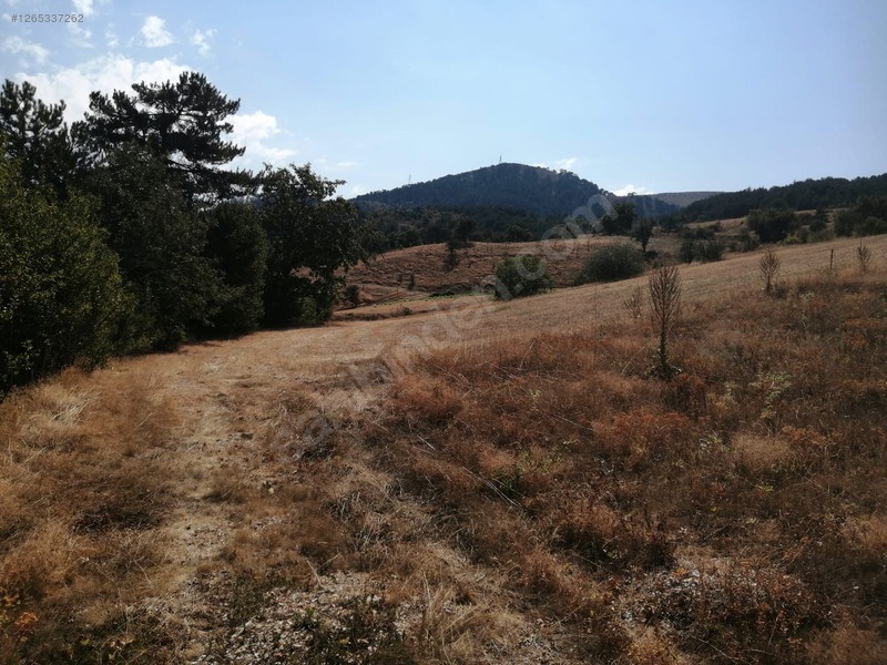 TAŞKESTİ EMLAKTAN 4384 M2 TARLA - BOLU MUDURNU fotoğraf 10