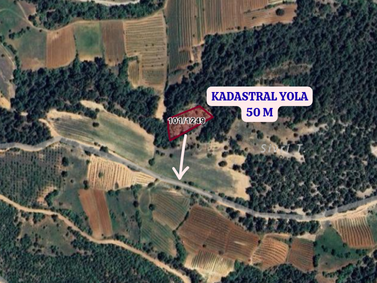 AFYONKARAHİSAR DAZKIRI DARICILAR    KÖYÜNDE 1.789  M² TARLA  SATILIKTIR - AFYONKARAHİSAR DAZKIRI fotoğraf 3