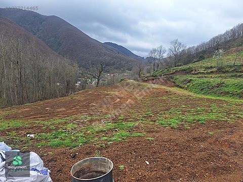 KOCAELİ/GÖLCÜK SOFULAR KÖYÜNDE SATILIK TARLA - KOCAELİ GÖLCÜK fotoğraf 3