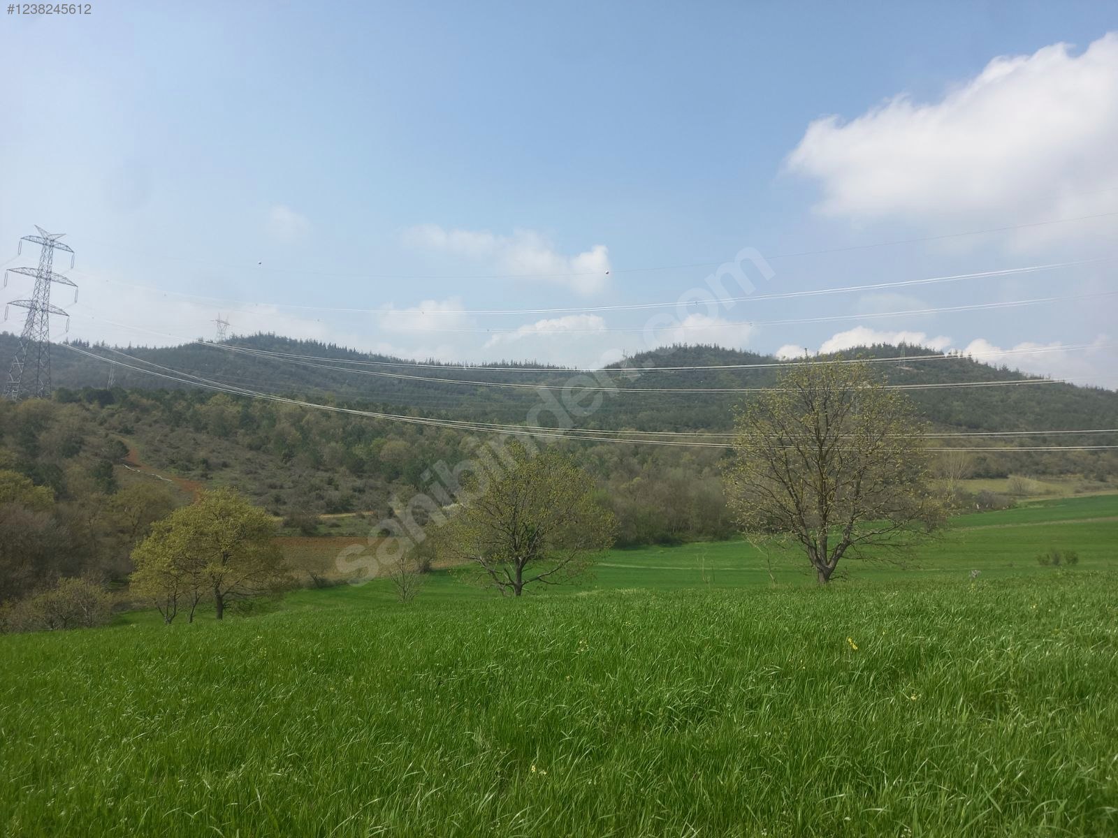 BURSA KESTEL ERDOĞAN KÖYÜ'NDE 3.663  M² TARLA SATILIKTIR - BURSA KESTEL fotoğraf 8