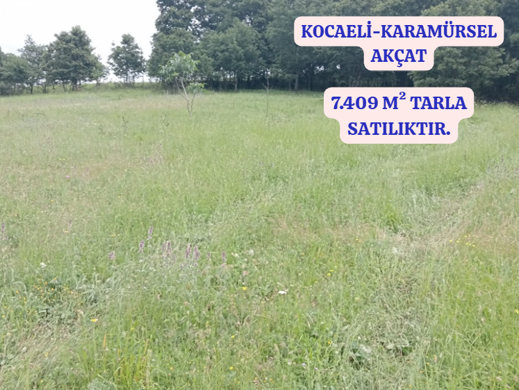 KOCAELİ KARAMÜRSEL AKÇAT   KÖYÜNDE 7.409  M²  TARLA SATILIKTIR - KOCAELİ KARAMÜRSEL fotoğraf 2