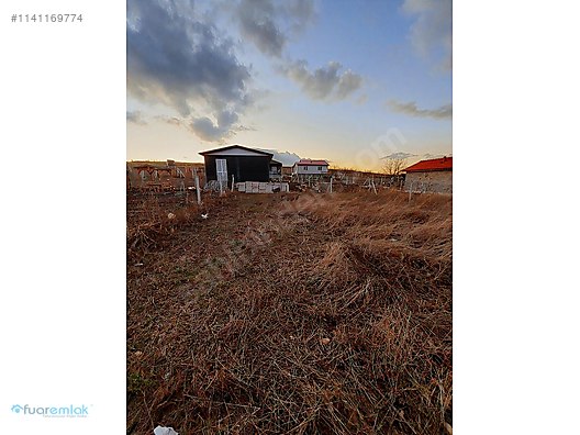 ALTINDAĞ GİCİKTE ELEKTİRİK SUYU YOLU OLAN SATILIK HOBİ BAHÇESİ - ANKARA ALTINDAĞ fotoğraf 5