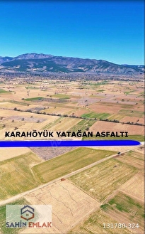 ŞAHİN EMLAKTAN ACIPAYAM YEŞİLYUVA MAH. SATILIK 5.969 M2 TARLA - DENİZLİ ACIPAYAM fotoğraf 4