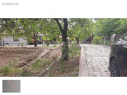 EMTİA'DAN DİLEK MERKEZ'DE SATILIK KAYSI BAHÇESİ - MALATYA YEŞİLYURT fotoğraf 4