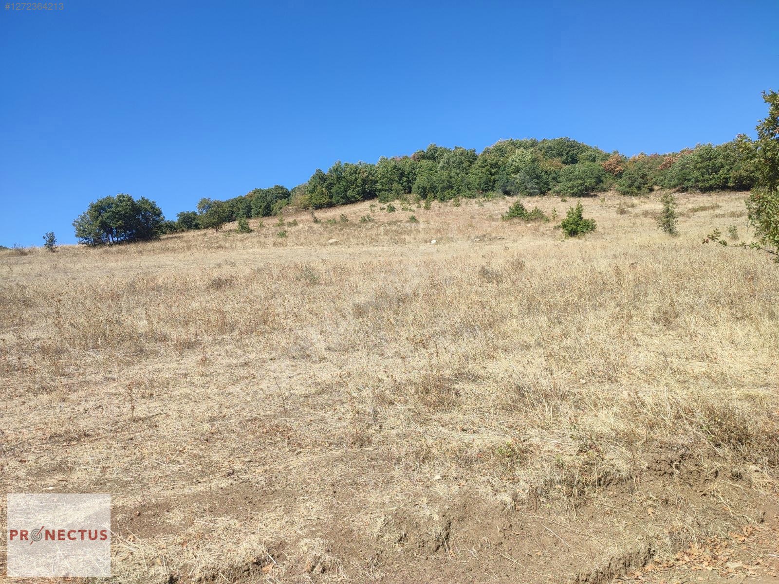FULACIK MAH. RESMİ YOLA CEPHE GÖL MANZARALI 4985 M2 SATILIK ARSA - KOCAELİ KARAMÜRSEL fotoğraf 8
