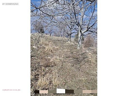 KEMER DE ŞEHİR MANZARALI 7500M2 İÇİNDE 50 KADAR YETİŞMİŞ CEVİZ - BURDUR KEMER fotoğraf 19