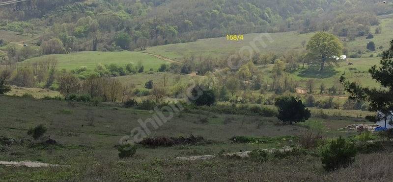 Bursa Orhangazi Karsak'ta Satılık 22.230 metrekare Tarla - BURSA GEMLİK fotoğraf 11