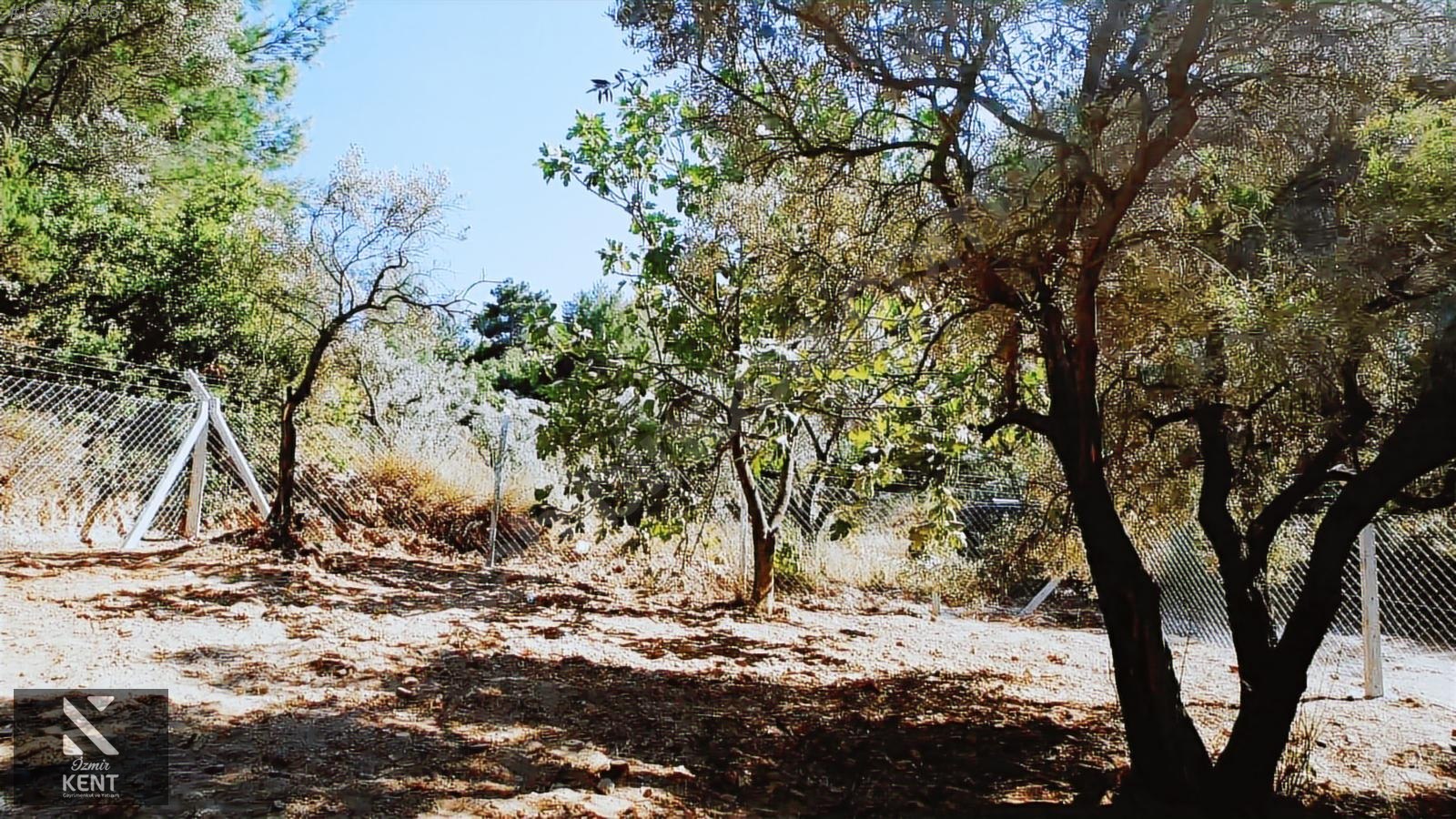 Kemalpaşa Armutlu Satılık 300 m2 Bahçe Tek Tapu - İZMİR KEMALPAŞA fotoğraf 33