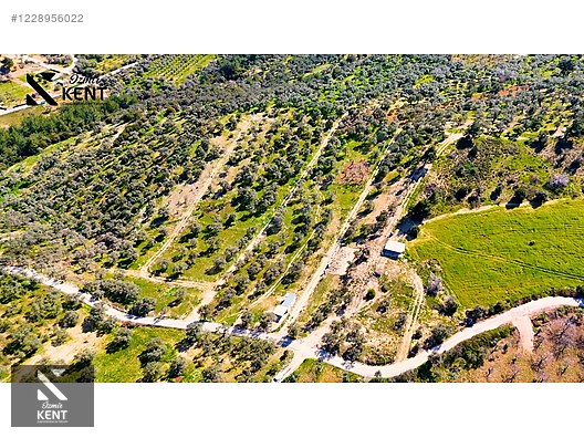 Kemalpaşa Vişneli Satılık 370 m2 Bahçe Elektrik Su Yol - İZMİR KEMALPAŞA fotoğraf 37