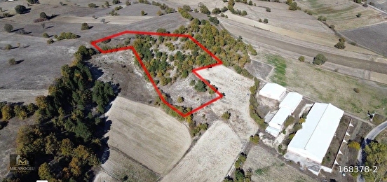 BÜYÜK TARLA BÜYÜK FIRSAT - BALIKESİR DURSUNBEY fotoğraf 3