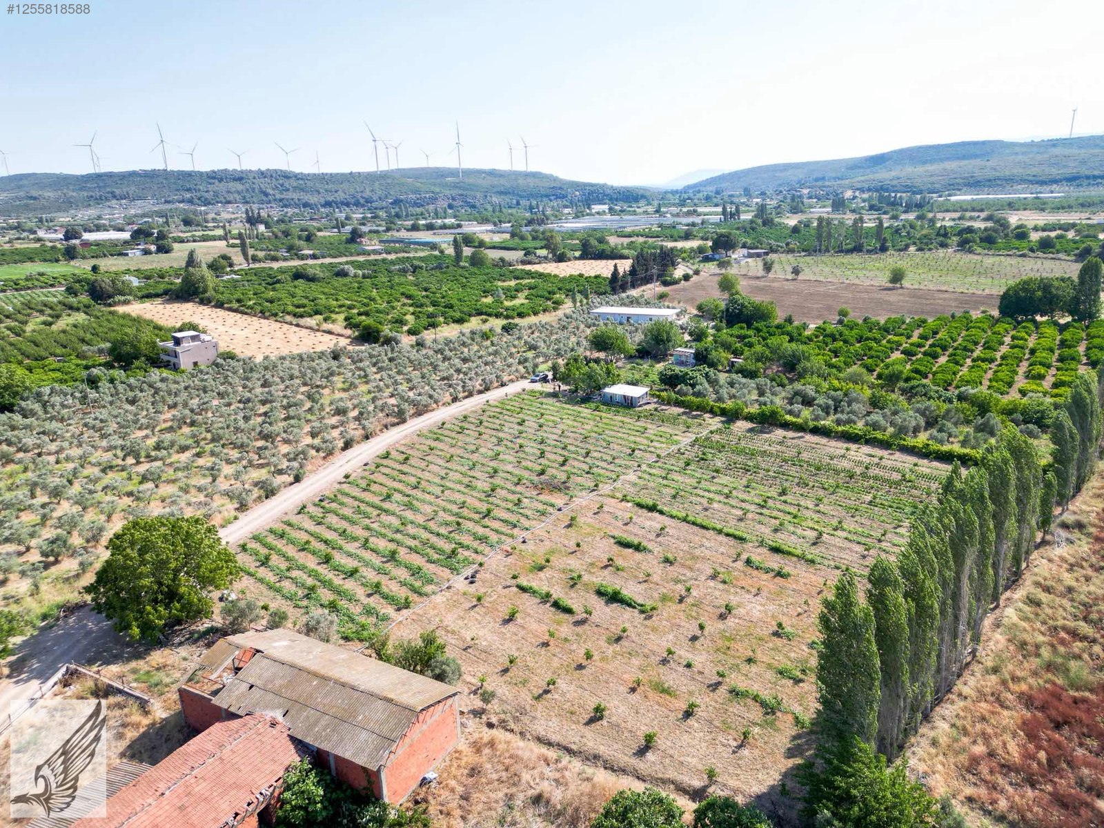 Seferihisar Turgut Köyünde 7.500M² Satılık Tarla - İZMİR SEFERİHİSAR fotoğraf 5