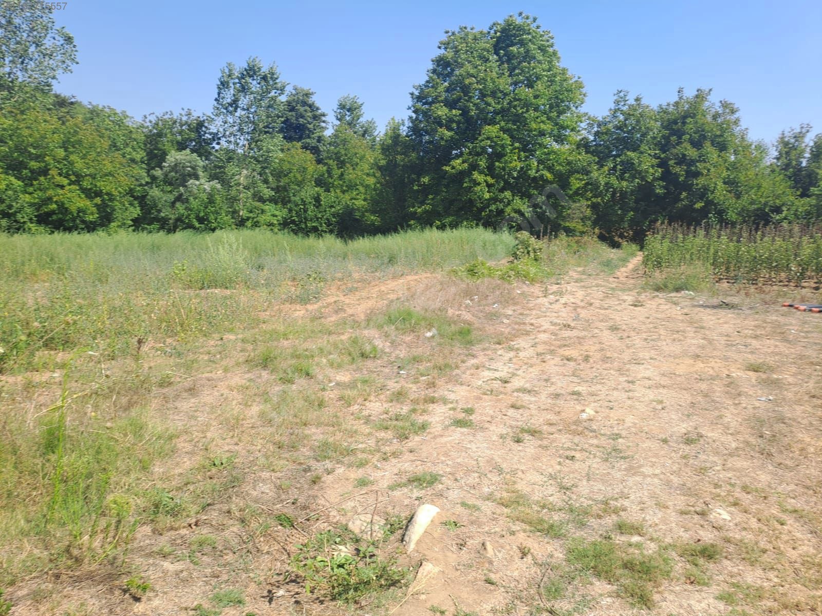 BURSA KESTEL KOZLUÖREN KÖYÜNDE  BAHÇENİN 2.700 M² Sİ SATILIKTIR. - BURSA KESTEL fotoğraf 3