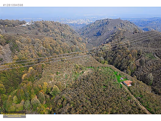 FIRSAT SAKARYA KARAPÜRÇEK İNÖNÜDE EV VE 16 DÖNÜM FINDIK BAHÇESİ - SAKARYA KARAPÜRÇEK fotoğraf 47