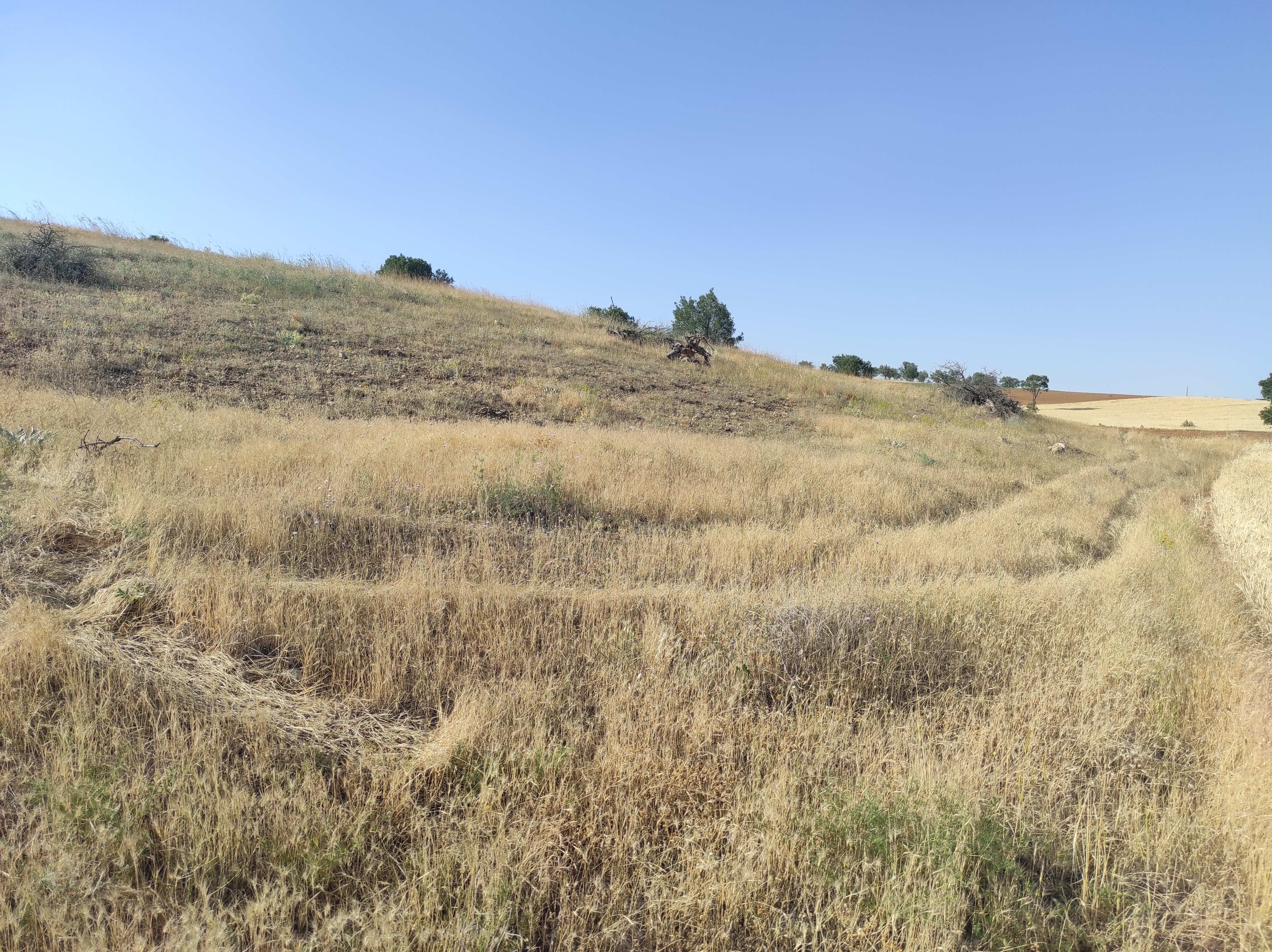 KONYA GÜNEYSINIR AĞRAS  KÖYÜNDE 8.433  M² TARLA  SATILIKTIR - KONYA GÜNEYSINIR fotoğraf 24