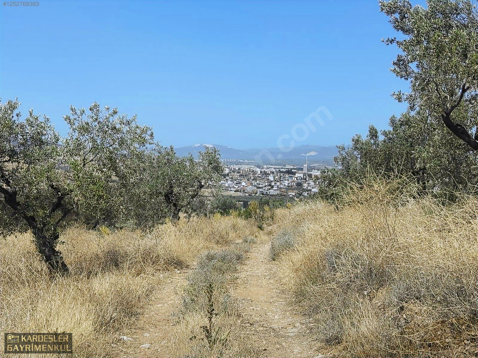 SATILIK CUMHURİYET MAHALLESİNDE TEK TAPU 4.489m2 ZEYTİNLİK - MANİSA AKHİSAR fotoğraf 3