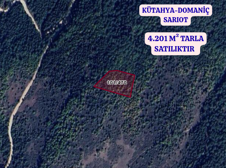 KÜTAHYA DOMANİÇ SARIOT  KÖYÜNDE 4.201 M² TARLA SATILIKTIR - KÜTAHYA DOMANİÇ fotoğraf 2