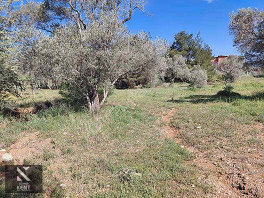 Kemalpaşa Dereköy'de Satılık 4850 m2 Bahçe - İZMİR KEMALPAŞA fotoğraf 24