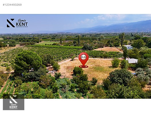 Kemalpaşa Yukarıkızılca Satılık 408 m2 Bahçe - İZMİR KEMALPAŞA fotoğraf 16