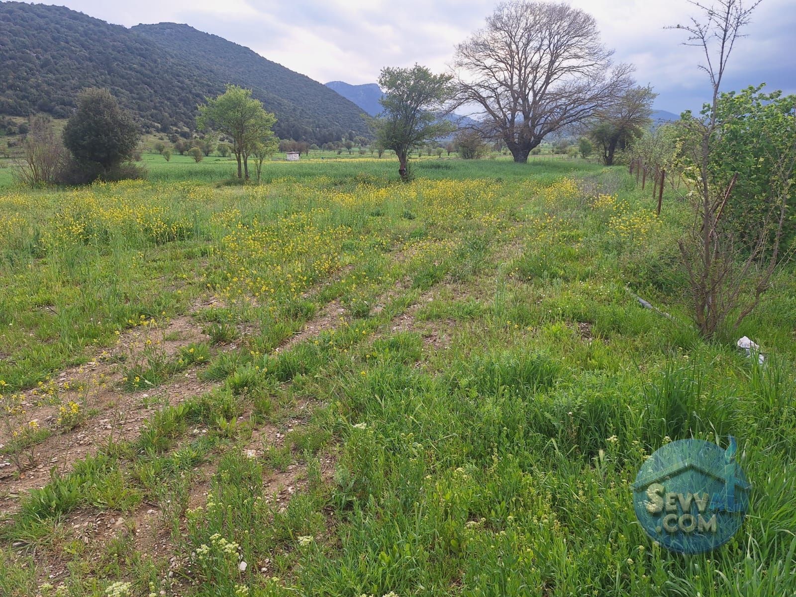 ASYA EMLAKTAN BURDUR AĞLASUN HİSARKÖY DE SATILIK FIRSAT TARLA - Burdur Ağlasun fotoğraf 16