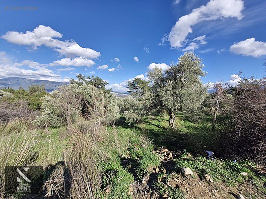 Kemalpaşa Soğukpınar Satılık 325 m2 İmar Sınırında Bahçe - İZMİR KEMALPAŞA fotoğraf 20